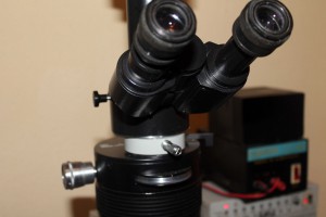 IMG_2431.JPG