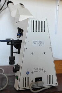 SIZ_4055.jpg