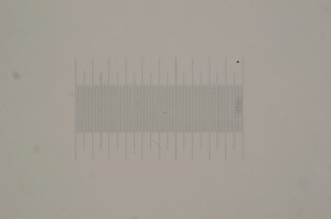 R_ocular_2_1.jpg