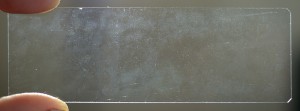 DSC_8920-1.jpg