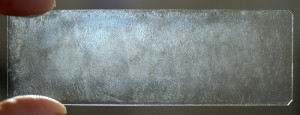 DSC_8918-1.jpg