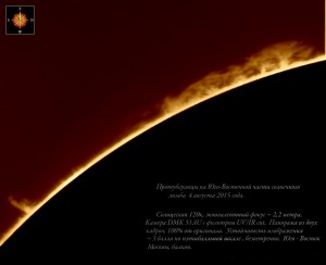 1_S-E_prot_50815.jpg