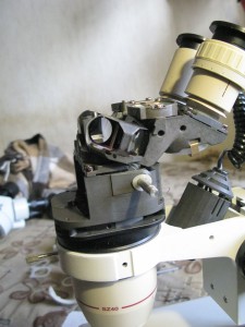 IMG_0449_1.jpg