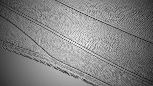 0_112ea7_92aa1f79-1_1_orig.jpg