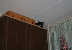 IMG_6727z.jpg