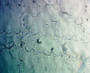 40х0.70 лм.JPG