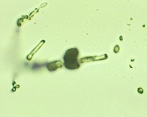 111020153036.jpg