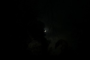 IMG_6987.JPG