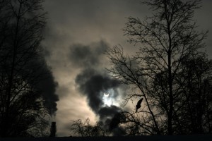 IMG_6914z.JPG