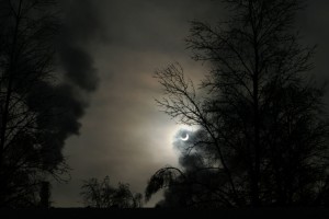 IMG_7039z.JPG